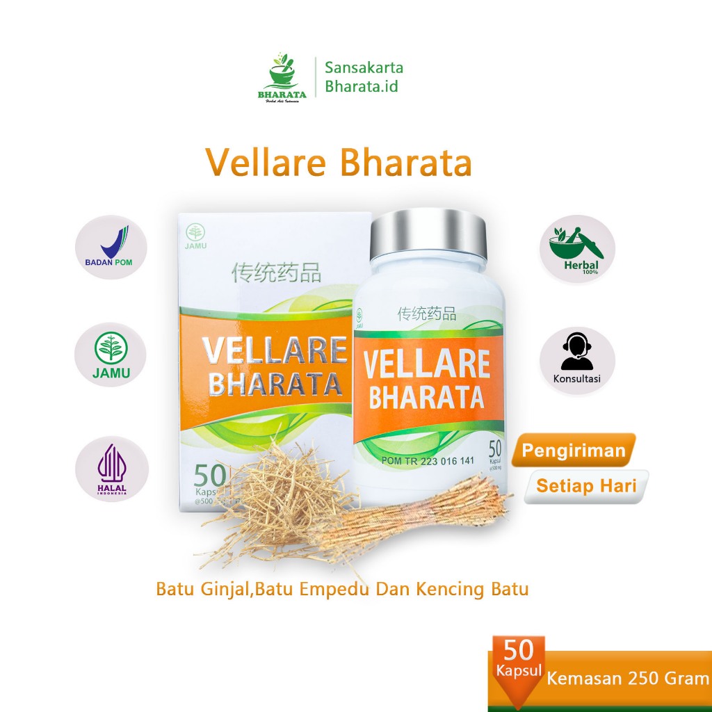 Obat Batu Ginjal Batu Empedu Kencing Batu Gagal Ginjal Saluran Kencing Kencing Manis Vellare Bharata