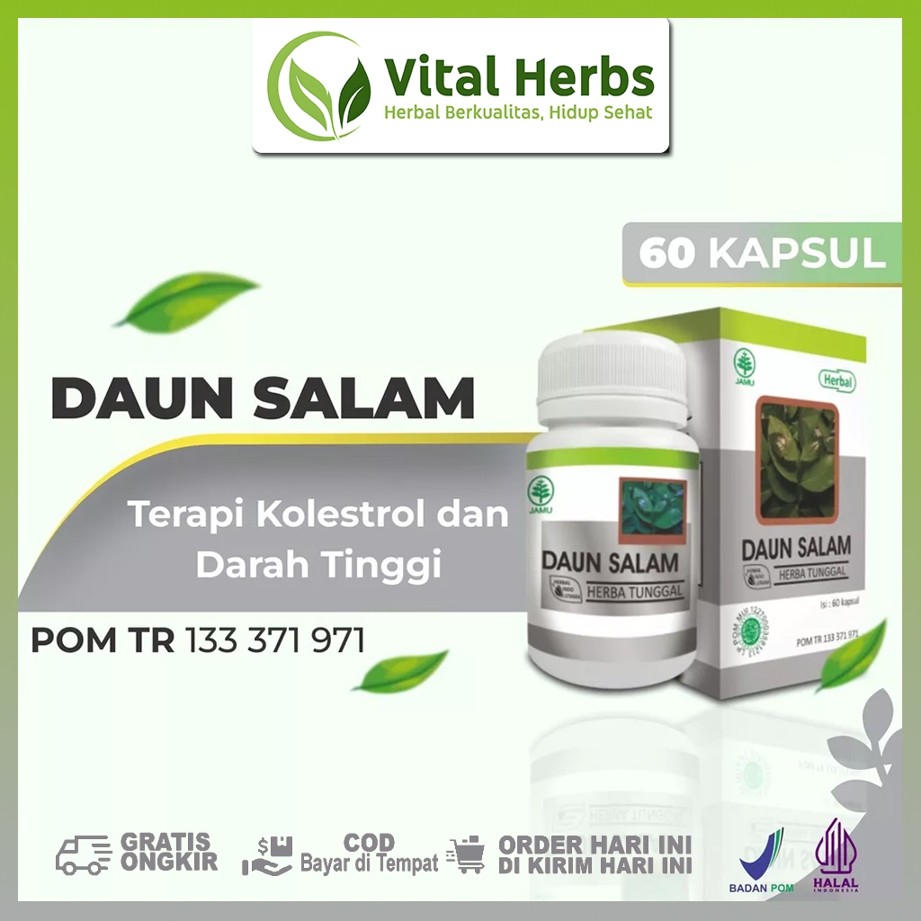 

Vital Herbs - Daun Salam Obat Herbal Darah Tinggi Dan Asam Urat