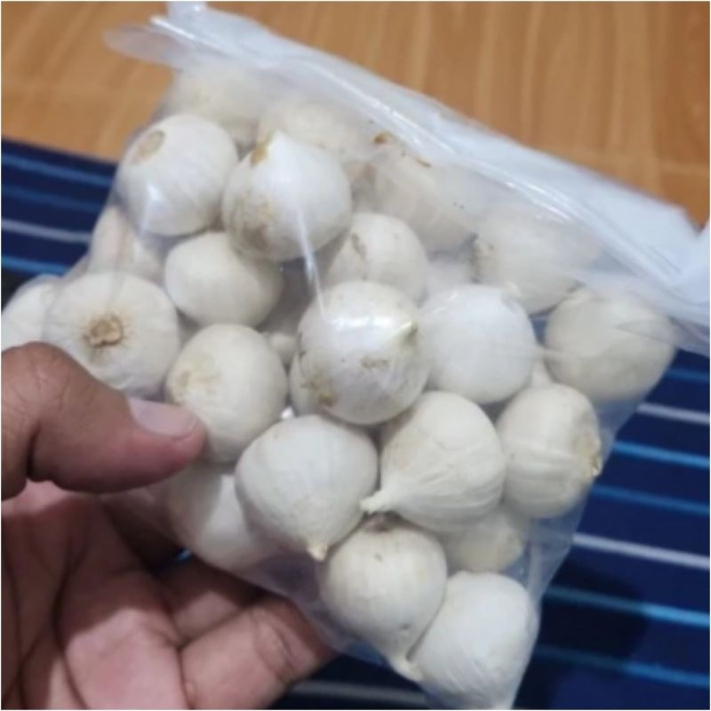 

Bawang Putih Tunggal Bawang Putih Lanang 250 gr