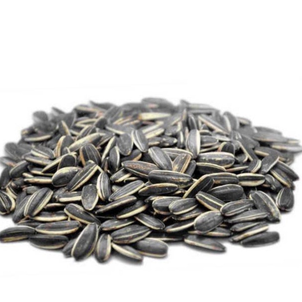 

Spesial Promo Kuaci Biji Bunga Matahari 5GRAM Sunflower Seed kwaci matang kuaci Rasa Original