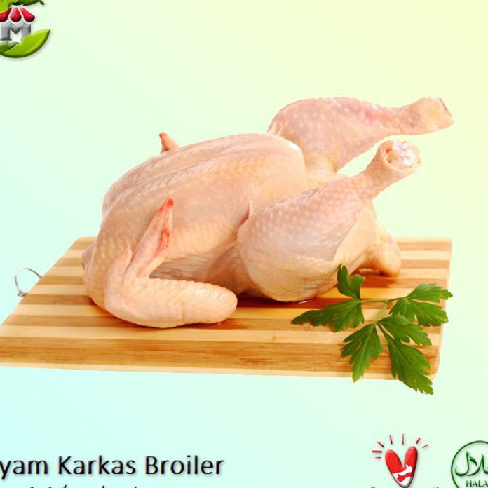 

DISKON Ayam Karkas Broiler Ayam Potong Utuh 51 Kg Per Ekor