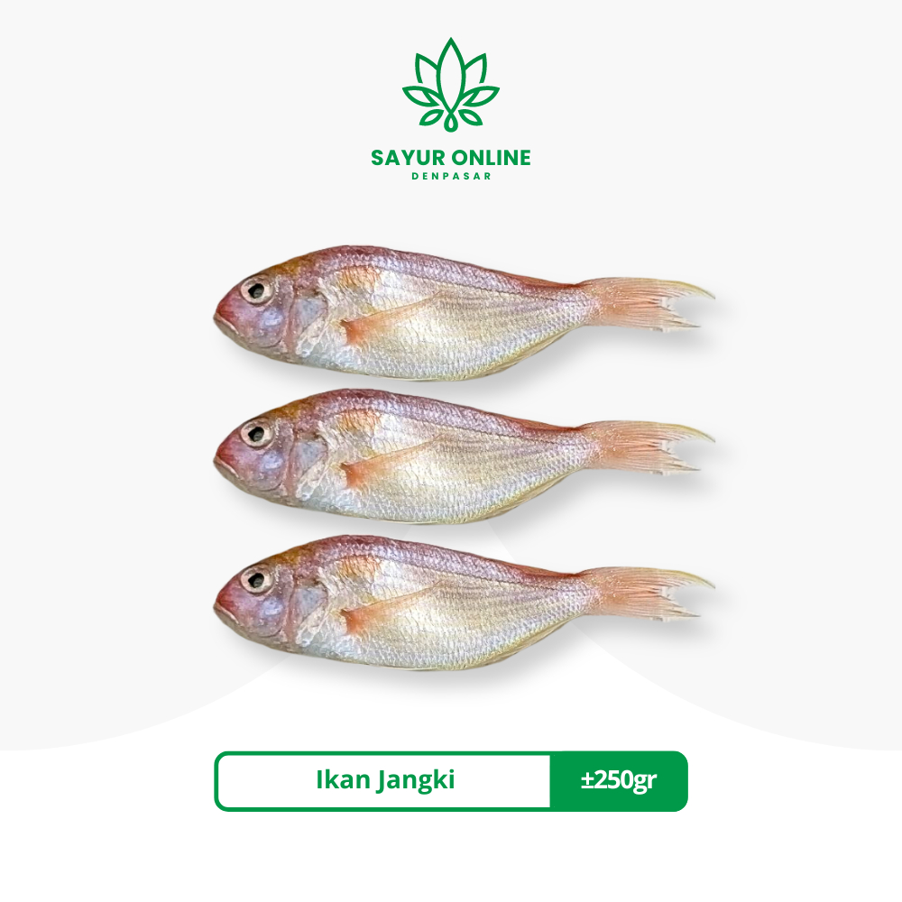 

Ikan Jangki Fresh Frozen -+250gr - Sayur Online Denpasar