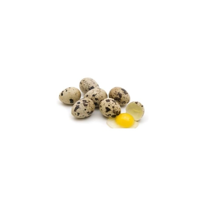 

TELUR PUYUH PREMIUM 24 BUTIR / PACKING AMAN