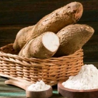 

SINGKONG POHON/TELO 1KG