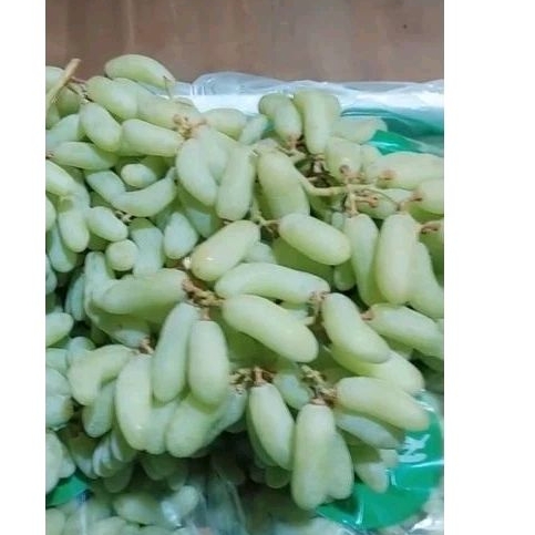 

Anggur Hijau India tanpa biji