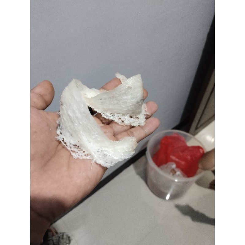 

sarang walet asli patahan bersih per 1gram