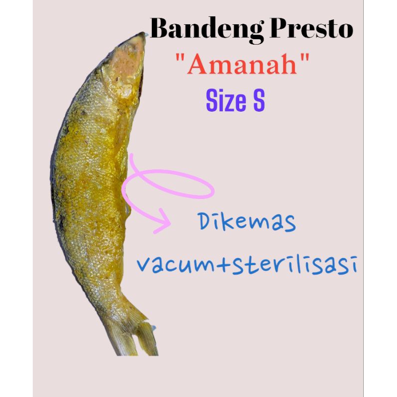 

Badeng Presto Vacuum Size S