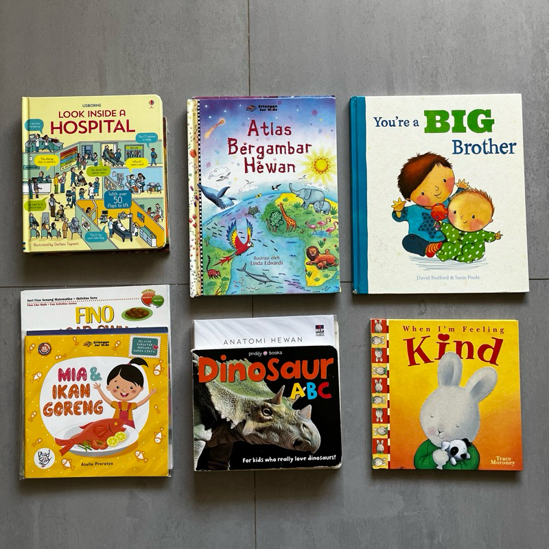 PRELOVED and NEW Buku Anak usborne boardbook lift the flap pop up book