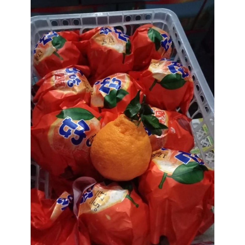 

Jeruk Dekopon atau papagan 1 Kg
