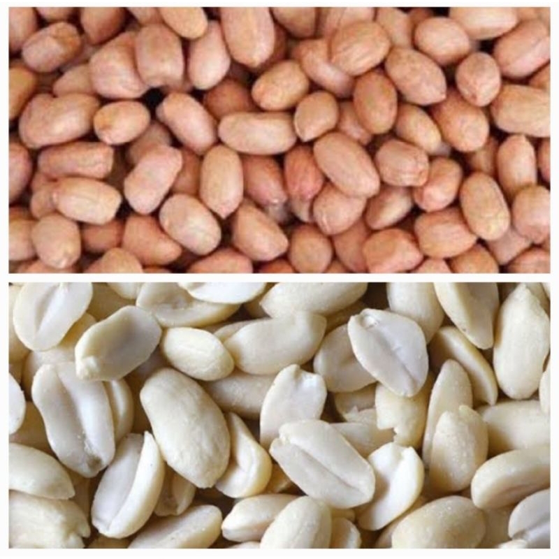 

kacang tanah / kacang tampa kulit / Pampang online