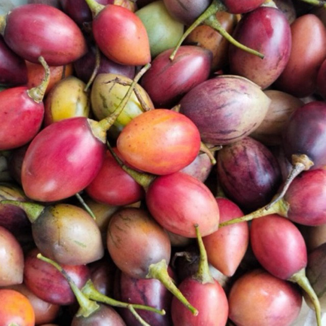 

Terong belanda/terong qori 1kg