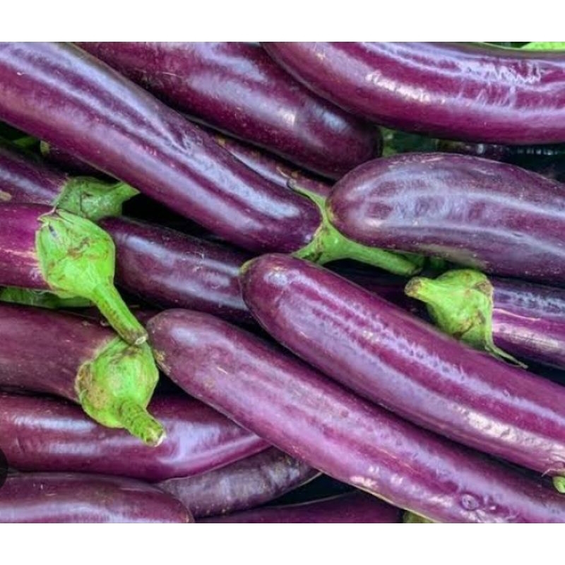 

terong panjang /perbiji / perpaket isi 3 atau lebih / terong ungu / pampang online