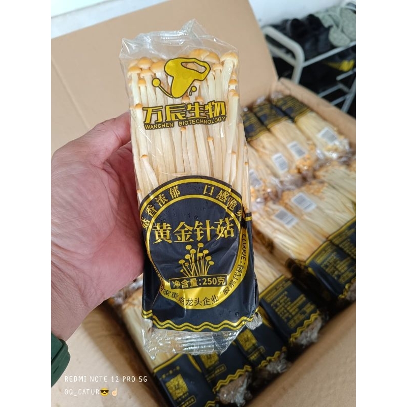 

Jamur Enoki gold premium