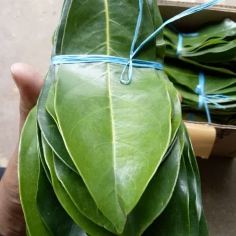 

daun sirsak 500g