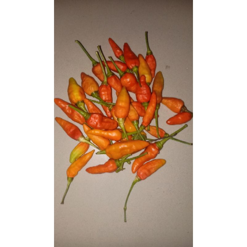 

cabe rawit merah fresh 500gr