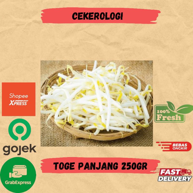 

Toge Panjang 250gr / Toge Panjang Fresh Berkualitas / Toge Panjang / JABODETABEK / Toge / Tauge / Sayur Segar / Sayuran / Sayur