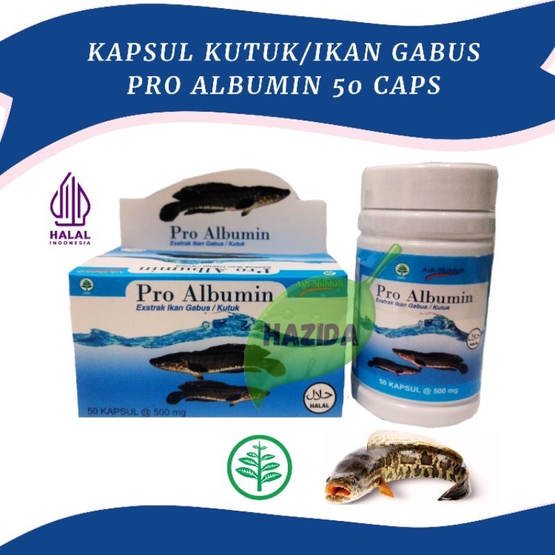Kapsul Kutuk / Ikan Gabus Pro Albumin Asli Ekstrak Ikan Gabus Original Ash-Shihhah 50 Kapsul