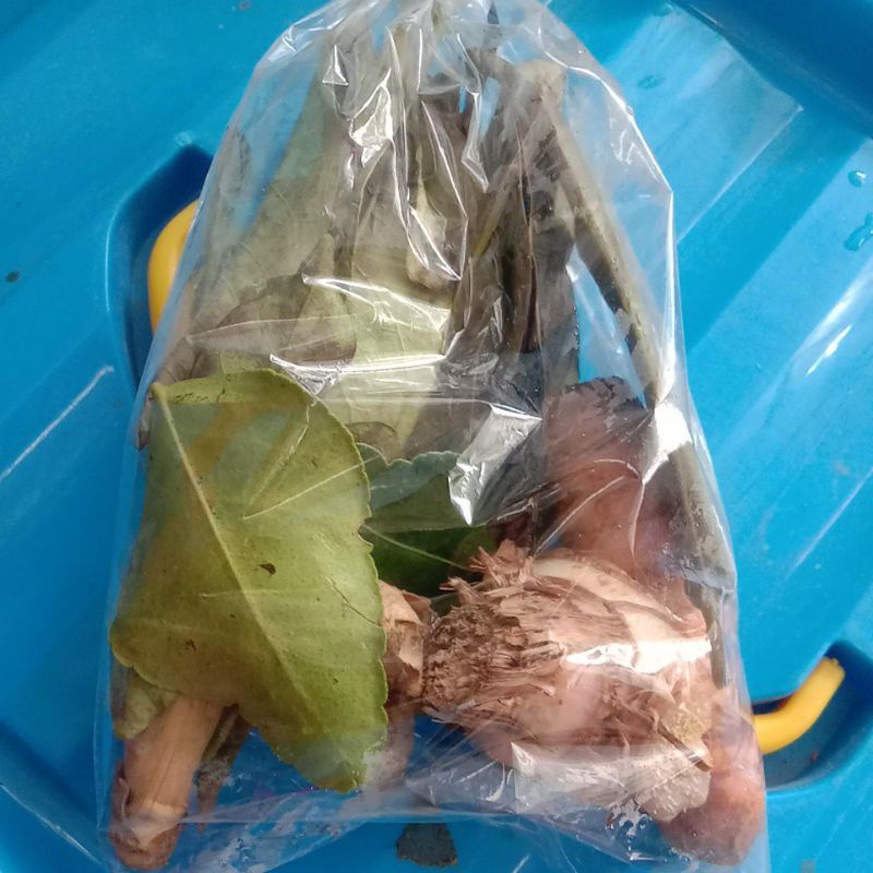

Paket Bumbu Murah Laja Jahe Salam Sereh Daun Jeruk