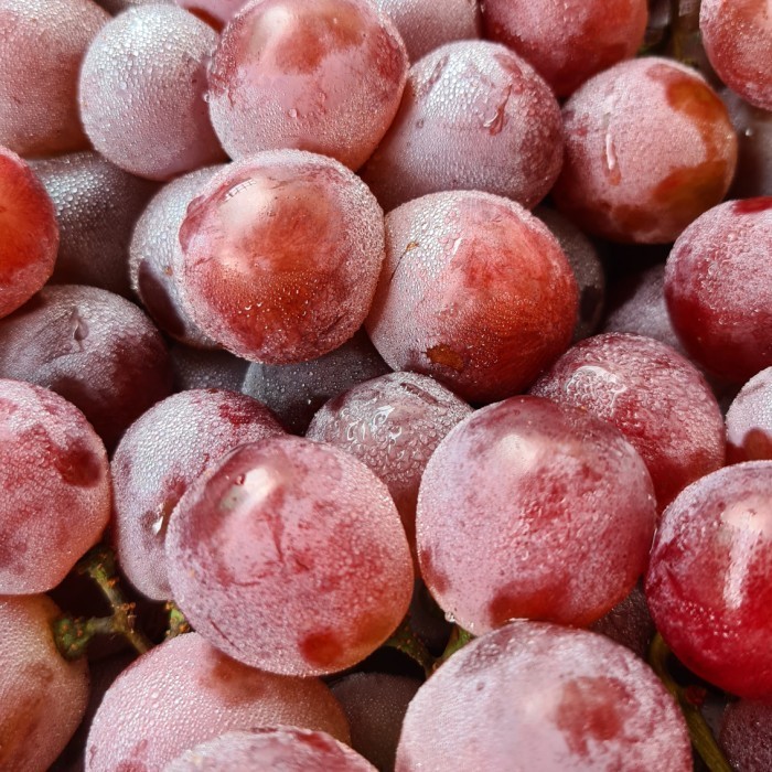 

Anggur Red Globe (500 Gram)