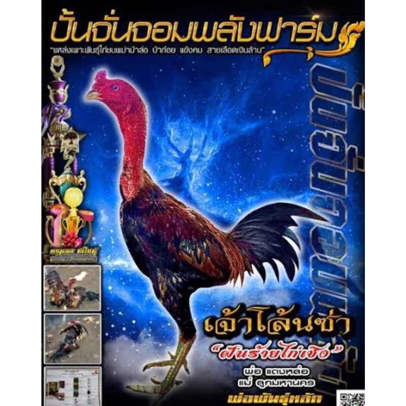 Telur fertil ayam pama / mangon import