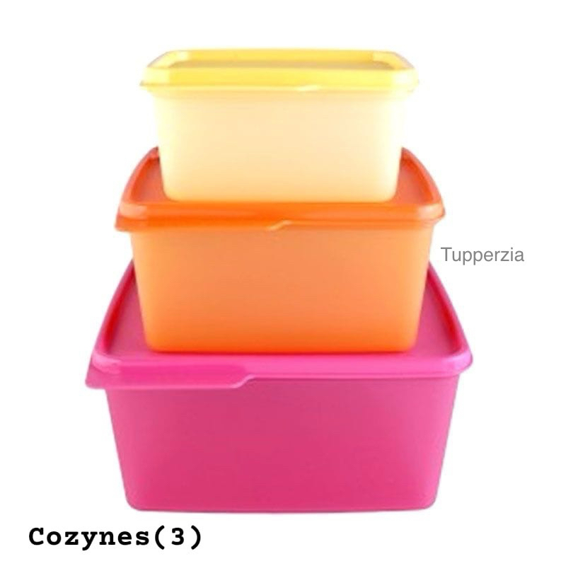 New Cozy Nest Tupperware