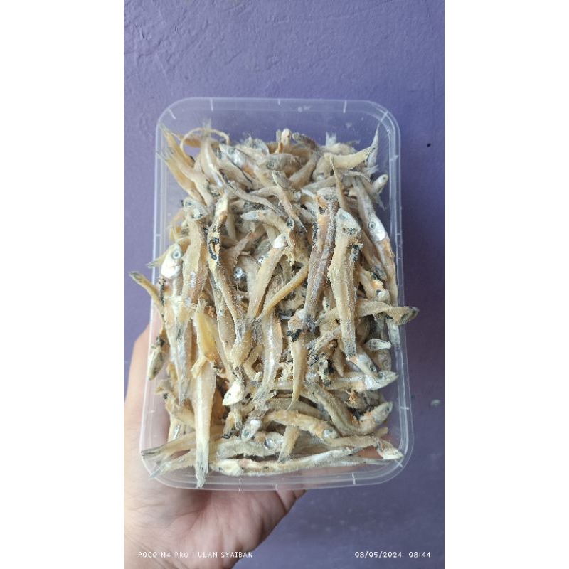 

teri jengki asin ±250gr