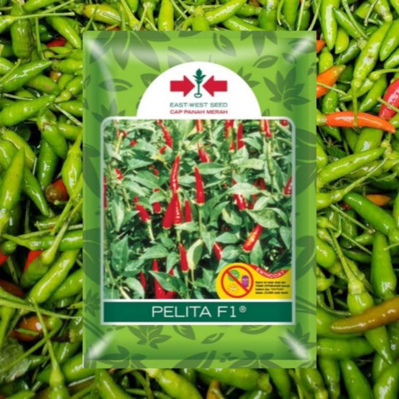 100 Biji Cabe Rawit PELITA 8 F1 | Benih Cabe Rawit Hijau | Bibit Cabe Rawit Hijau | Cabe Rawit Pelit