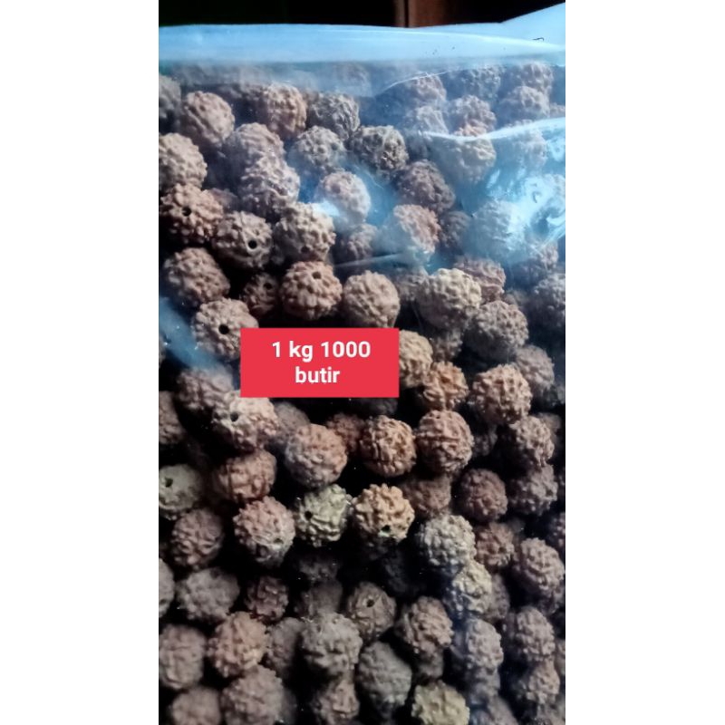 Jenitri 1 kg 1000 butir ukuran 12 mm