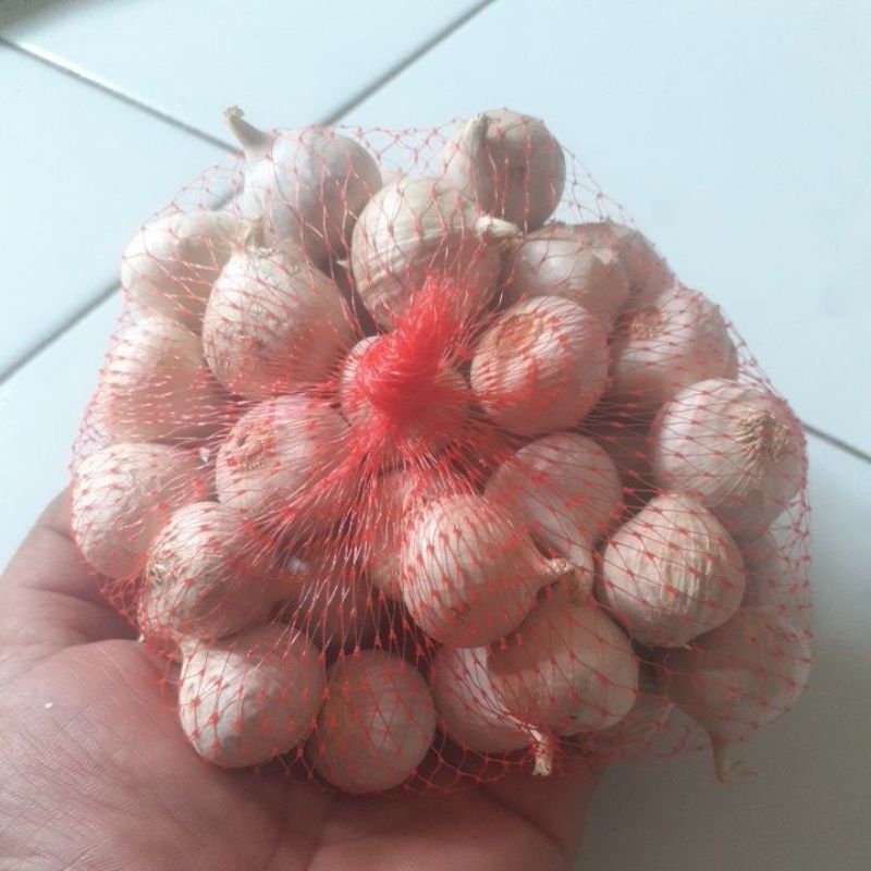 

bawang putih tunggal 250 gram