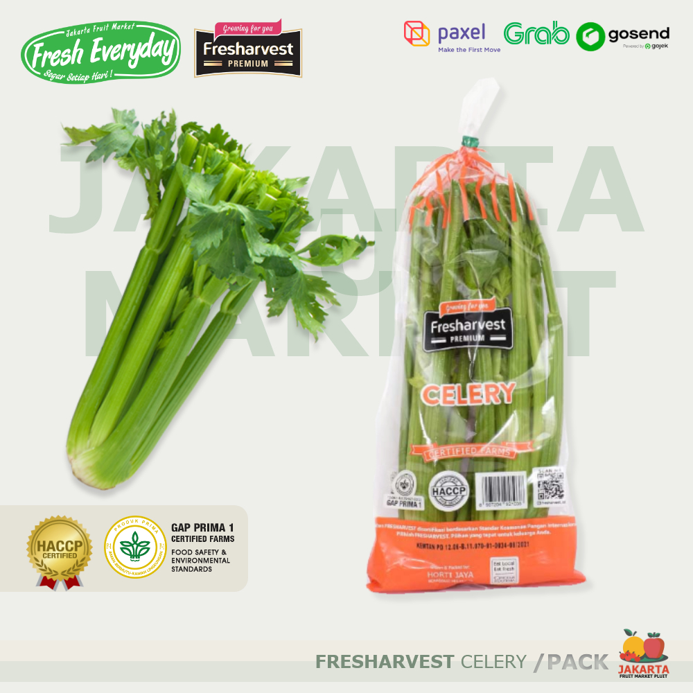 

FRESHARVEST CELERY / SELEDRI Sayur Fresh stick batang pack segar