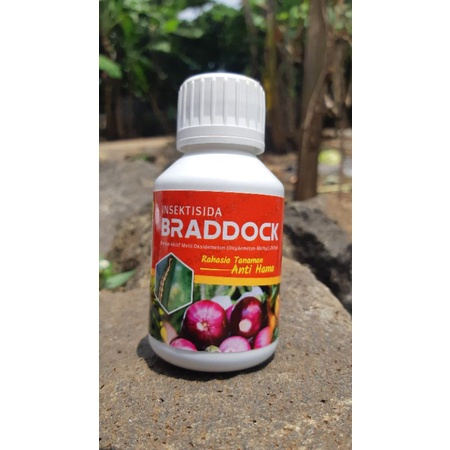 Insektisida Braddock Mengatasi Ulat Grayak Pada Padi Jagung Bawang Merah