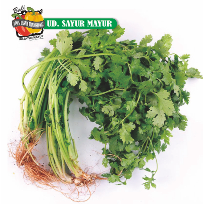 

Coriander | Daun ketumbar 50gram
