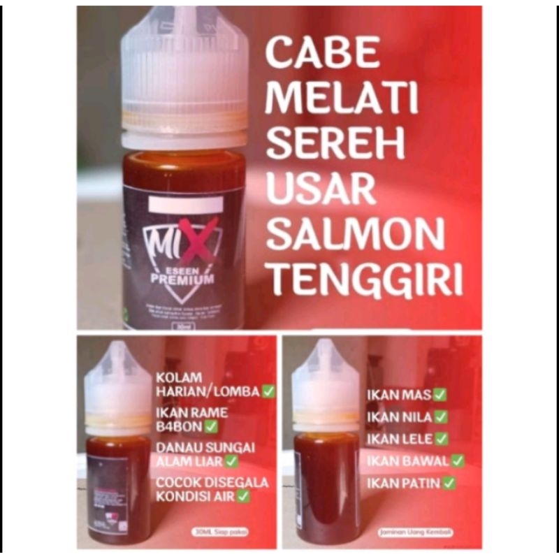 Essen cabe melati sereh usar salmon tenggiri/Essen MIX GACOR lomba harian