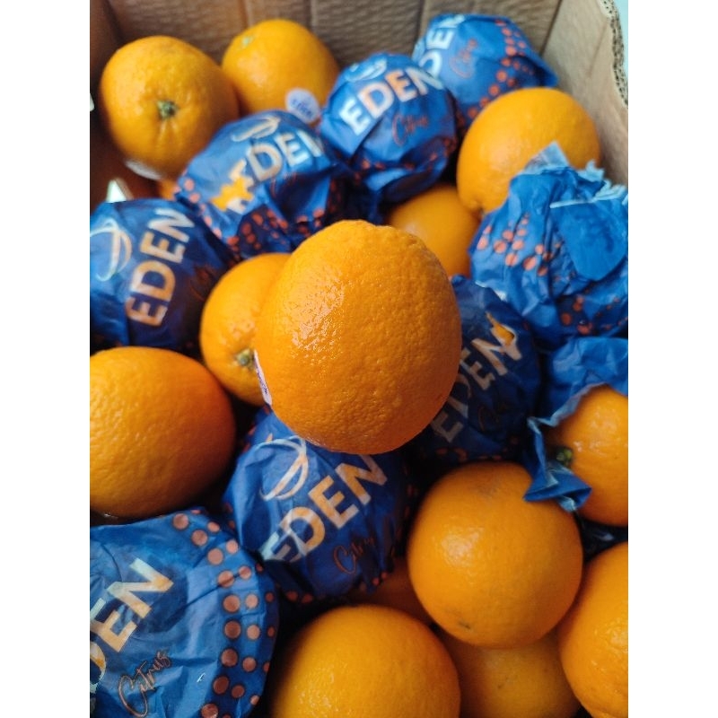 

[KIRIM INSTANT/SAMEDAY] Sunkist Premium impor egypt