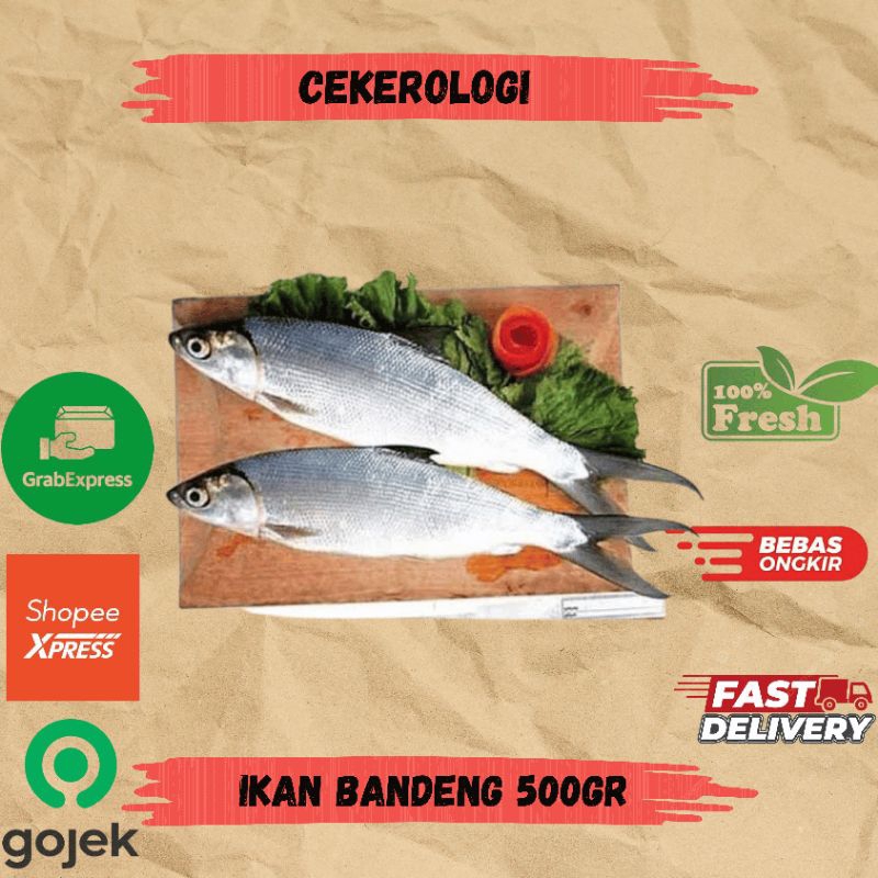 

Ikan Bandeng 500gr / Ikan Bandeng / Ikan Bandeng Fresh Berkualitas / JABODETABEK / Ikan Segar / Ikan