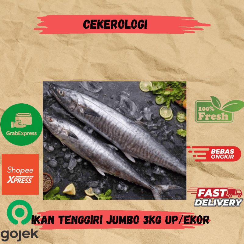 

Ikan Tenggiri Jumbo 3kg Up / Ikan Tenggiri Jumbo 3kg / Ikan Tenggiri / Ikan Tenggiri Fresh Berkualitas / JABODETABEK / Ikan Segar / Ikan