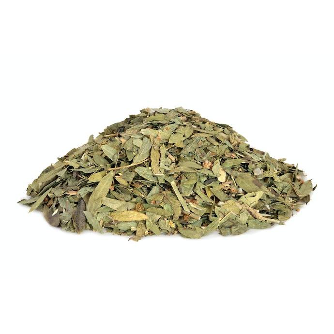 

daun jati cina senna kering dried leaves