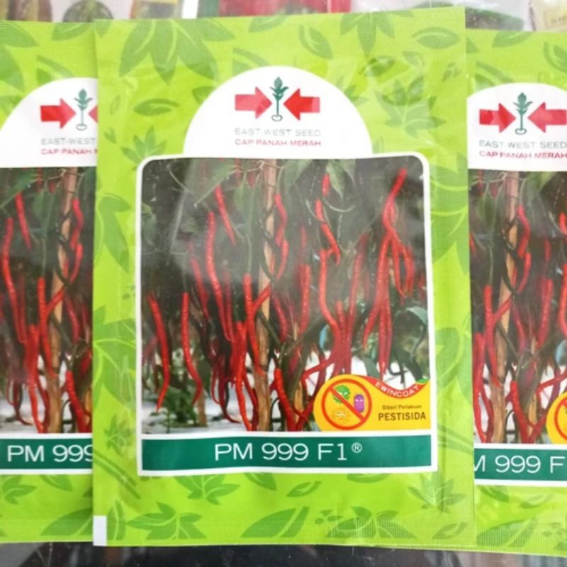 benih cabe keriting PM 999