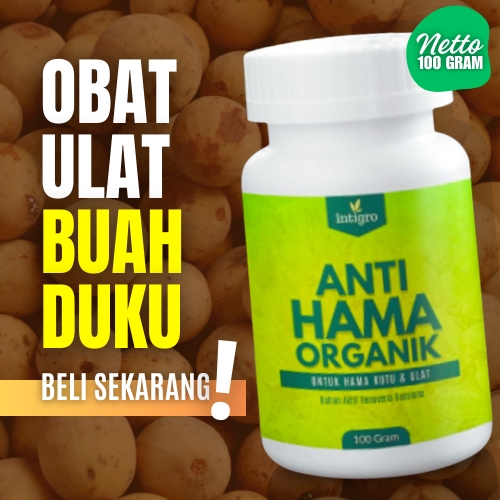 Obat Pembasmi Hama Buah Duku Ulat Kutu Penggerek Batang Busuk Buah Lalat Buah Pestisida Organik