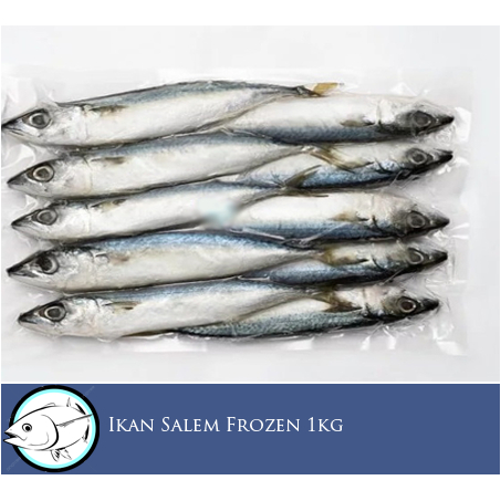 

Ikan Salem IQF Frozen - 1kg