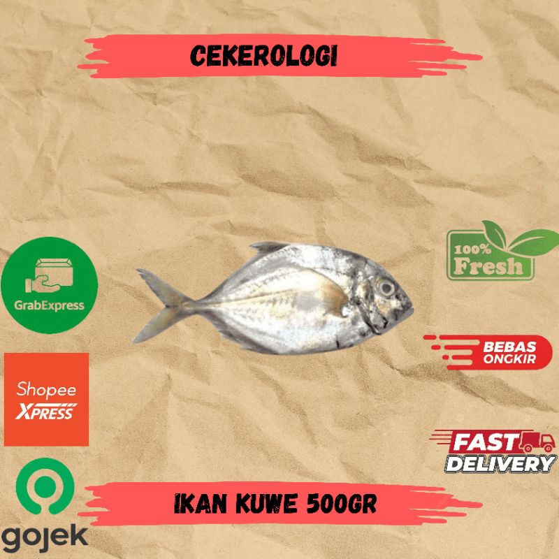 

Ikan Kuwe 500gr / Ikan Kue / Ikan Kuwe / Ikan Kuwe Fresh Berkualitas / JABODETABEK / Ikan Segar / Ikan