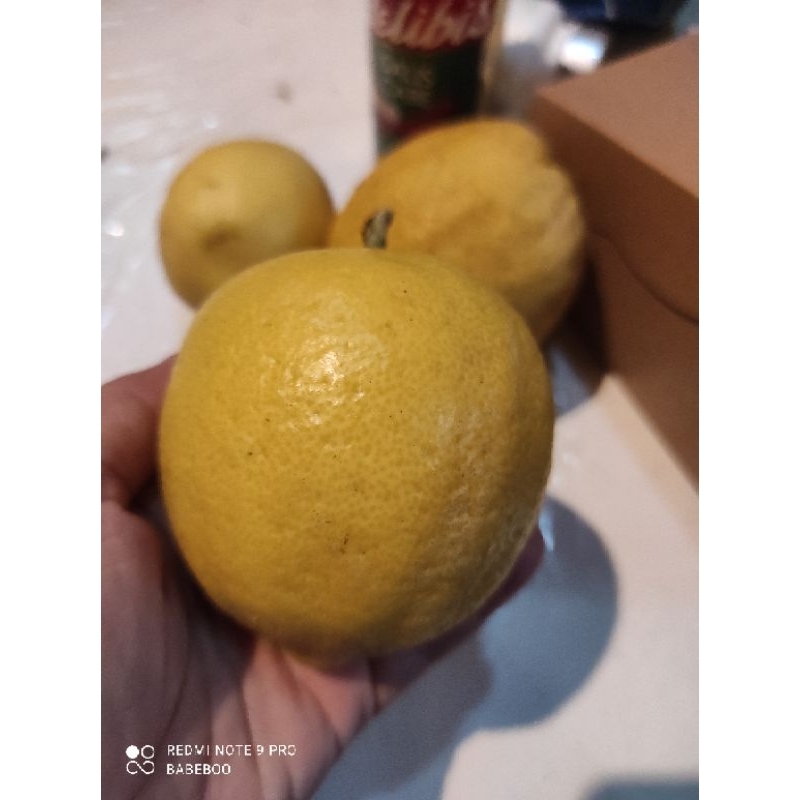 

Lemon Import