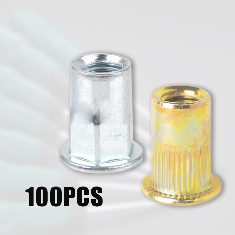 Rivet Nut Mur M6 100pcs/Nut Rivet/Mur Rivet Aluminium