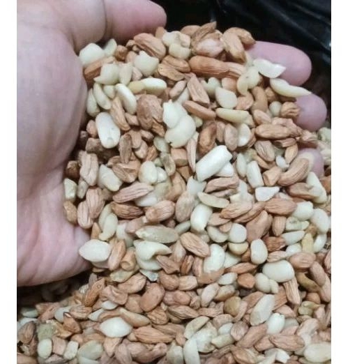 

Kacang Tanah untuk bumbu Sortir/asalan 1kg