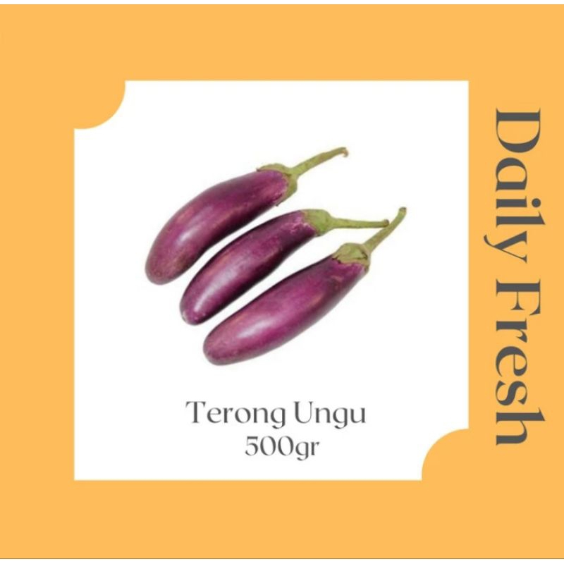 

Sayur Segar Terong Ungu