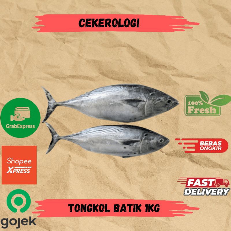 

Tongkol Batik 1kg Ikan Tongkol Batik / Tongkol Batik / Tongkol Batik Fresh Berkualitas / JABODETABEK / Ikan Segar / Ikan