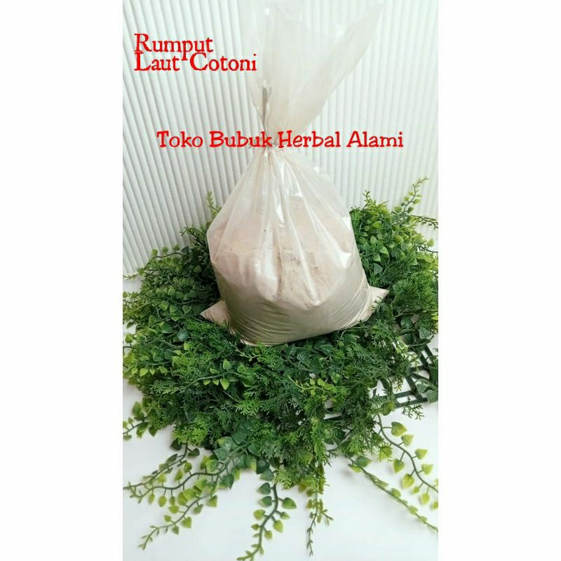 

TEPUNG RUMPUT LAUT / EUCHEUMA COTTONI POWDER 50gr