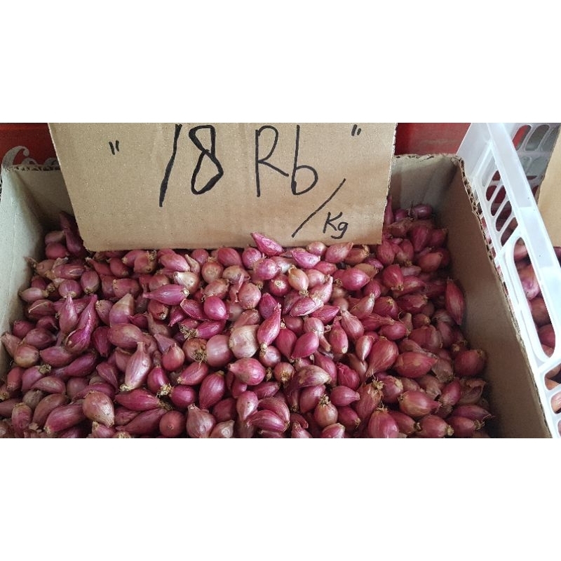 

bawang merah