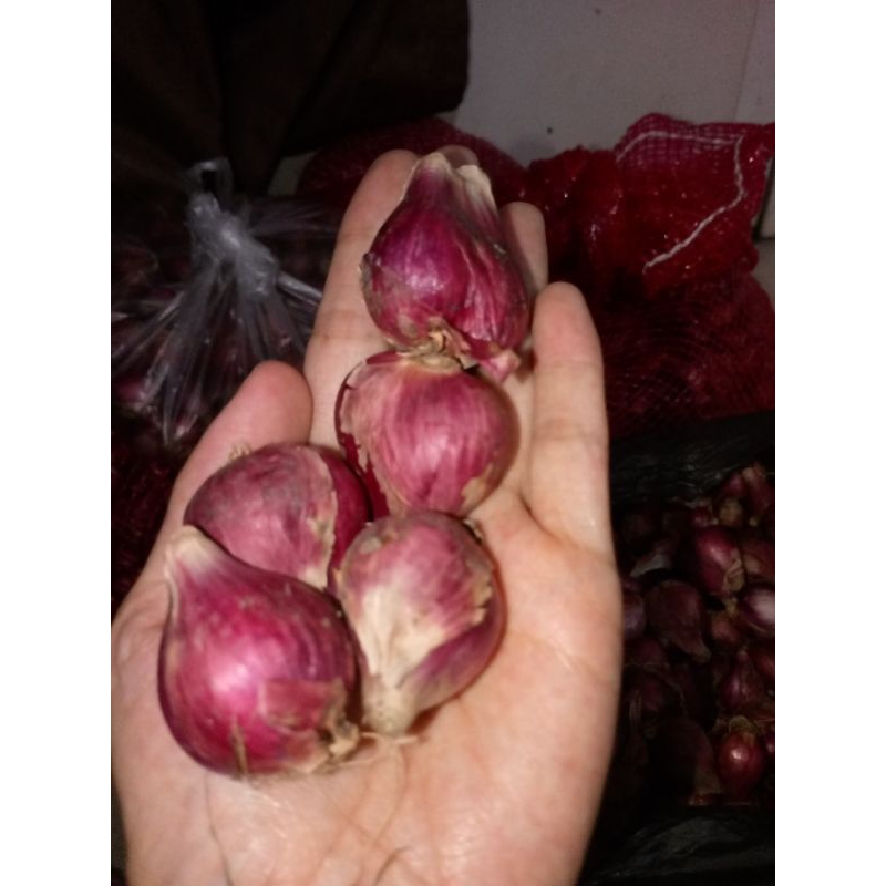 

bawang super Brebes