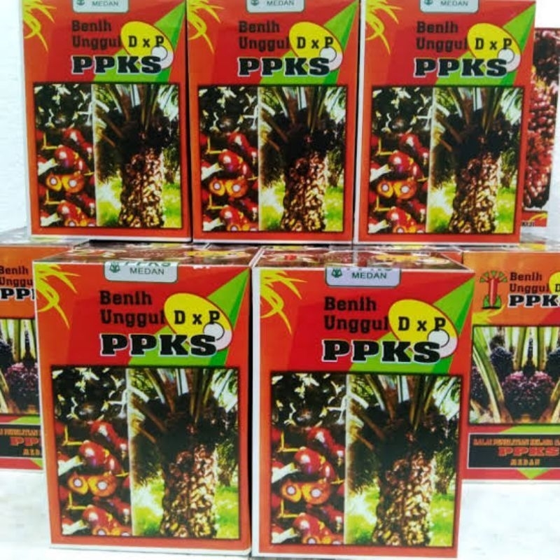 Sawit Benih Bibit Polong PPKS MEDAN ORIGINAL KUALITAS UNGGUL